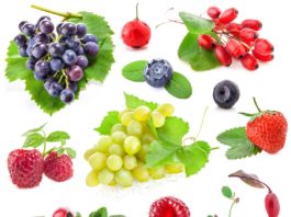 10 top fruits for beautiful skln